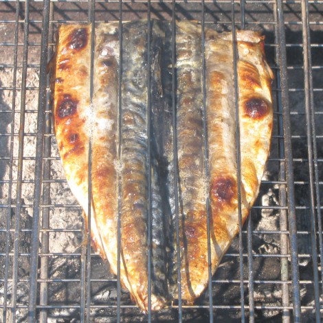 Шашлык из рыбы барбекю или жареная рыба 10 470x470 Шашлык из рыбы, барбекю или жареная рыба на углях