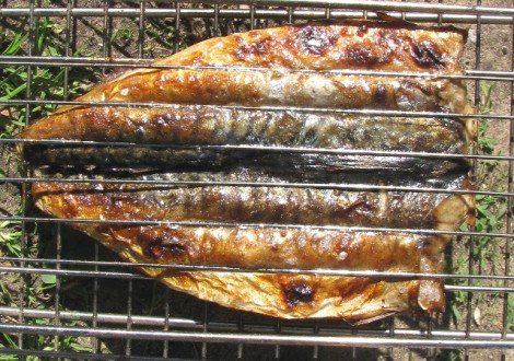 Шашлык из рыбы барбекю или жареная рыба 12 470x330 Шашлык из рыбы, барбекю или жареная рыба на углях
