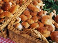 Грибная кулинария - Закуски из грибов, Солянка грибная, Запеканка грибная