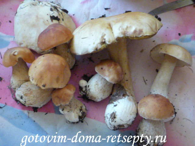 грибной суп из сушеных грибов