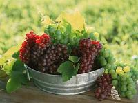 Салаты с виноградом - 9 рецептов