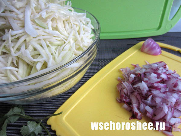 Рецепты салата из свежей белокочанной капусты