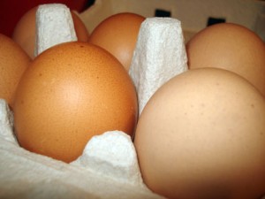 Закуска из яиц "ЦЫПОЧКИ". Яйца 